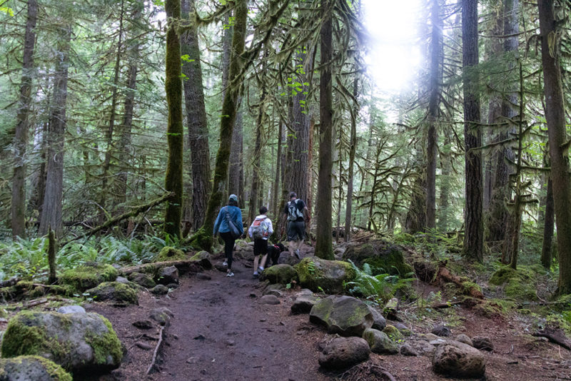 Hiking Oregon’s Tamolitch Blue Pool – The Ultimate Guide