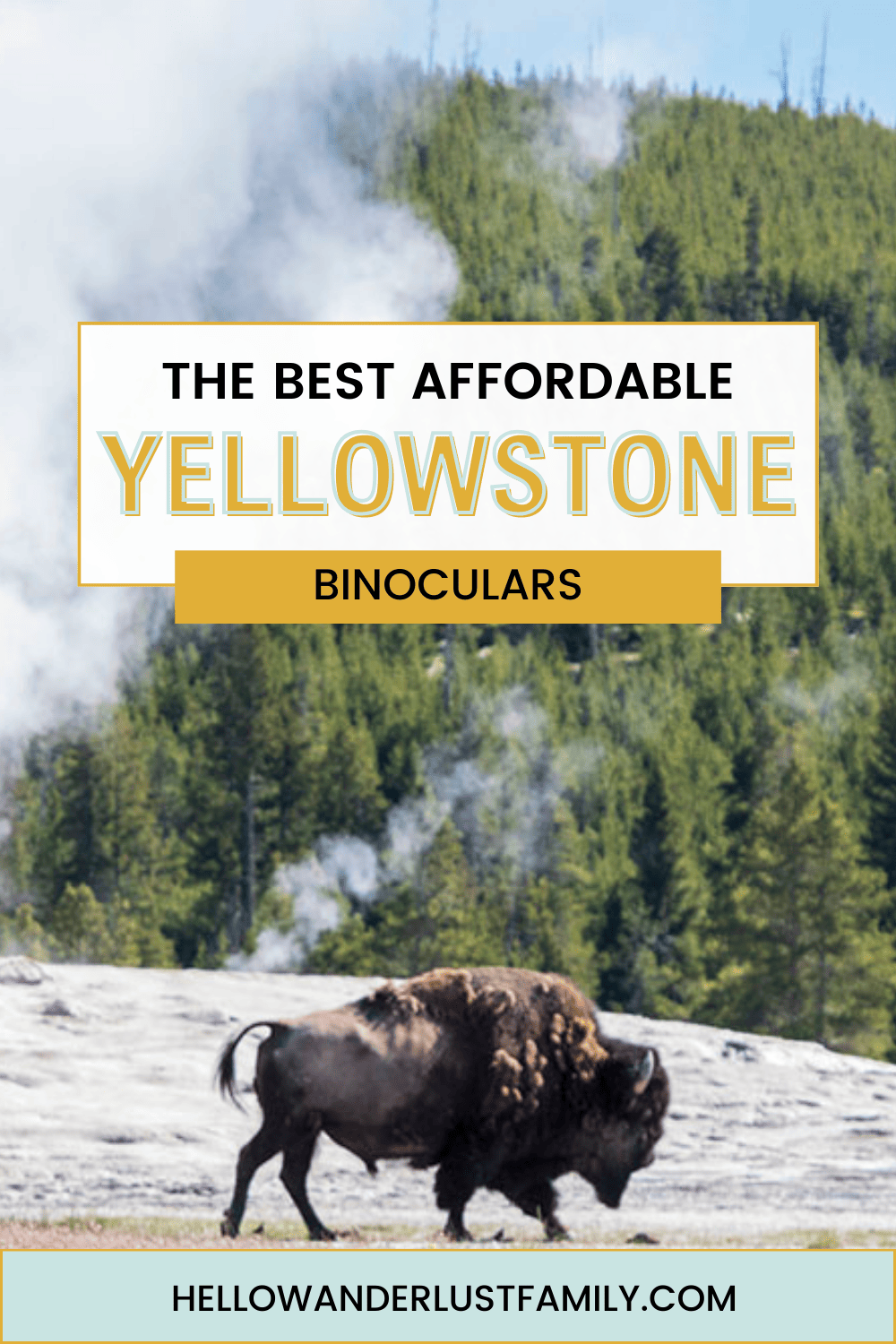 Best Affordable Binoculars for Yellowstone National Park