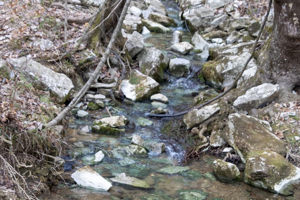 Bethel Spring Falls Alabama – Your Complete Hiking Guide Bethel Creek