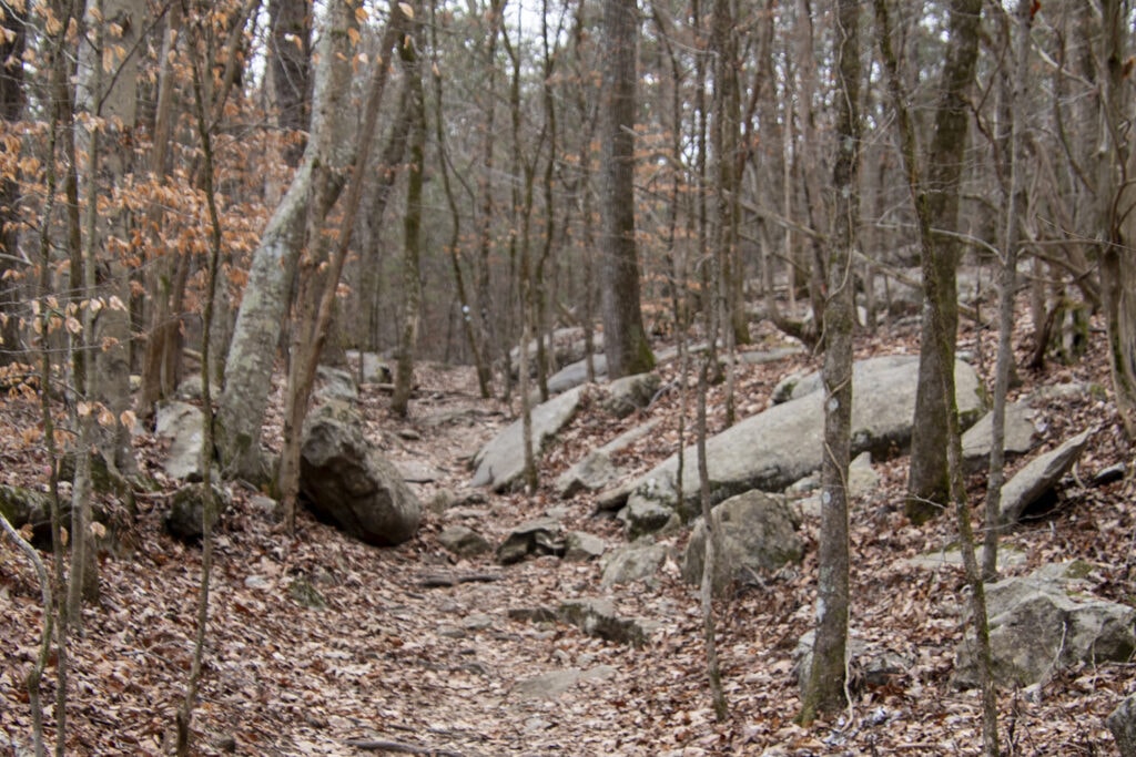 The picturesque scenery along Carpenter Trail at Bethel Spring Nature Preserve.