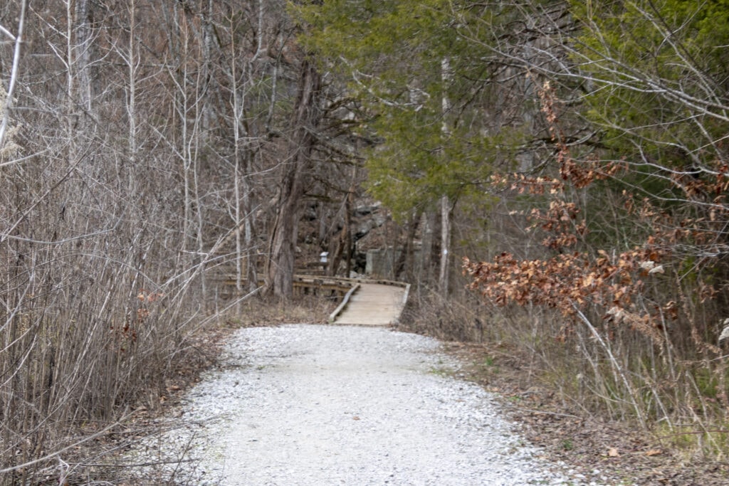 Scenic snapshot along the Bethel Creek Loop Trail, showcasing lush surroundings.