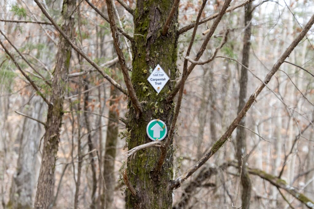 Clear trail markers on trees, guiding the way through the scenic paths at Bethel Spring Nature Preserve.