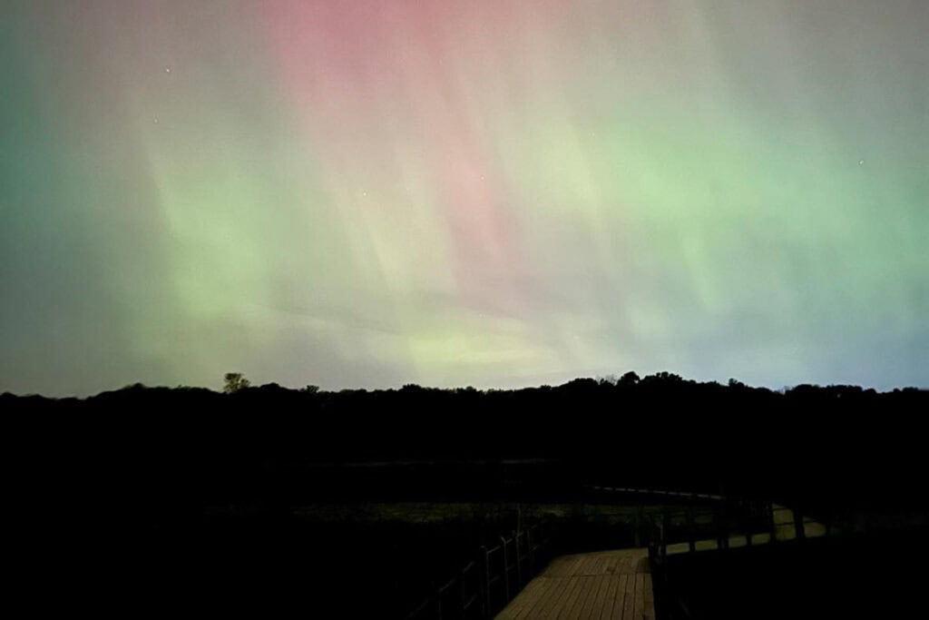 Green, yellow and pink northern lights shine down on a wooden bridge with trees in the background