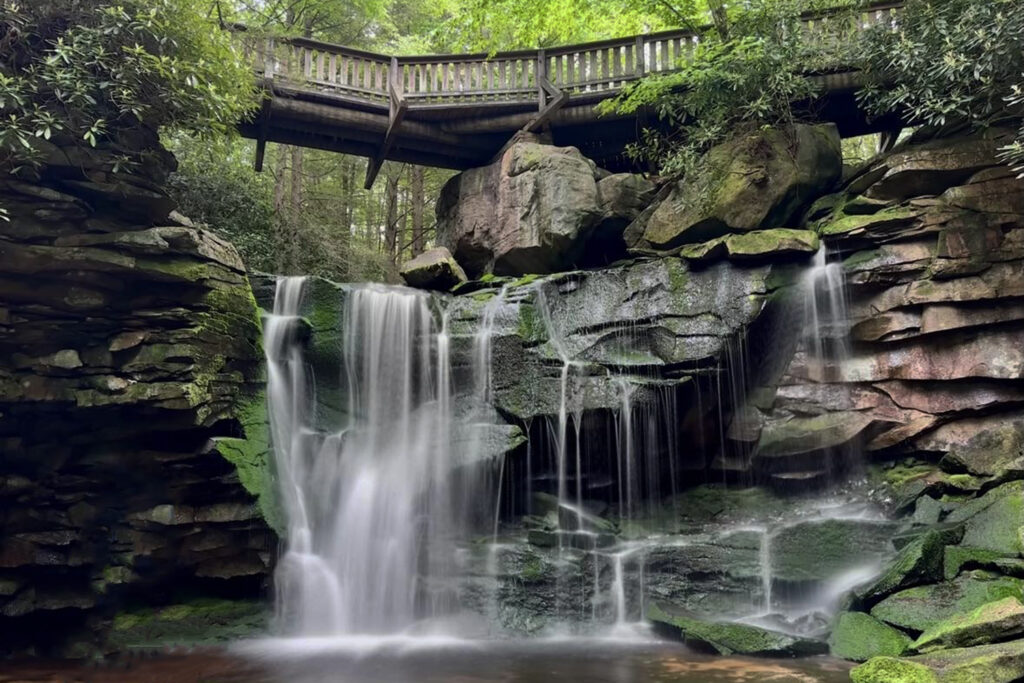 View from the base of Elakala Falls, showing water cascading over moss-covered rocks."