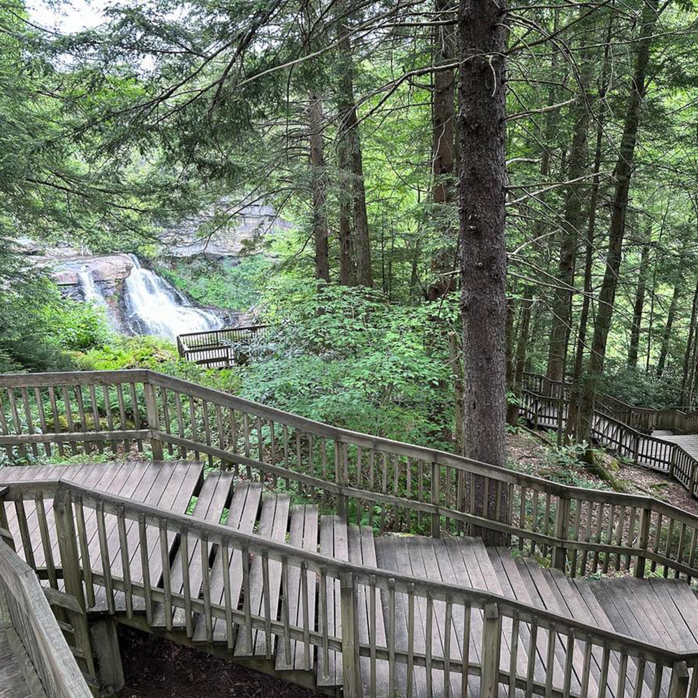 A view of the boardwalk stairs heading down to Blackwater Falls. You can see a view of Blackwater Falls in the distance.