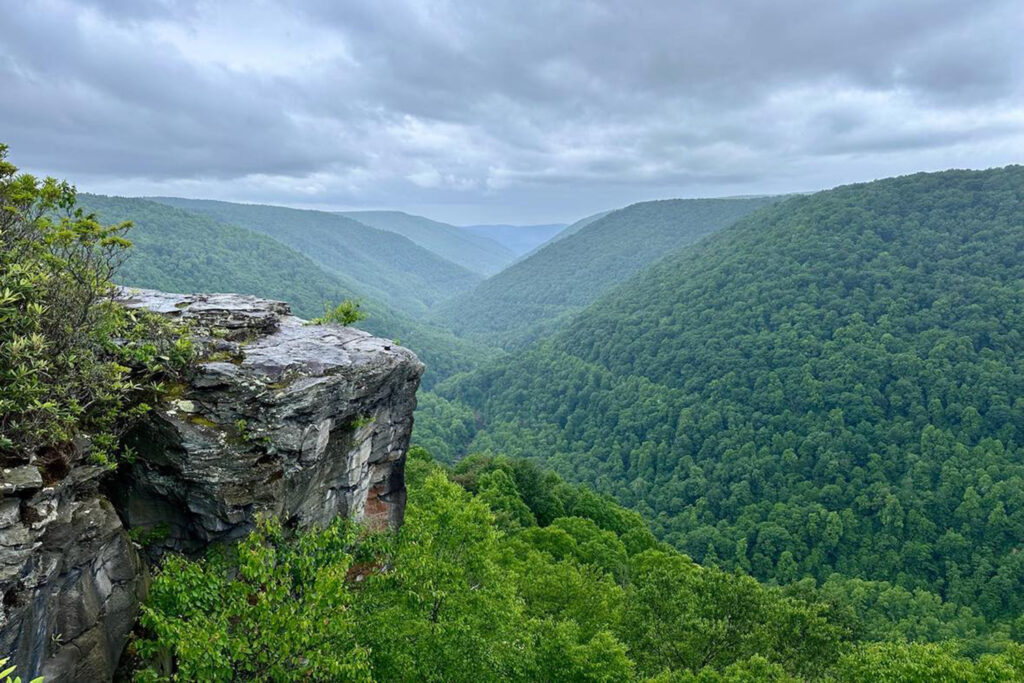 Scenic viewpoint from Lindy Point overlooking Blackwater Canyon in West Virginia.