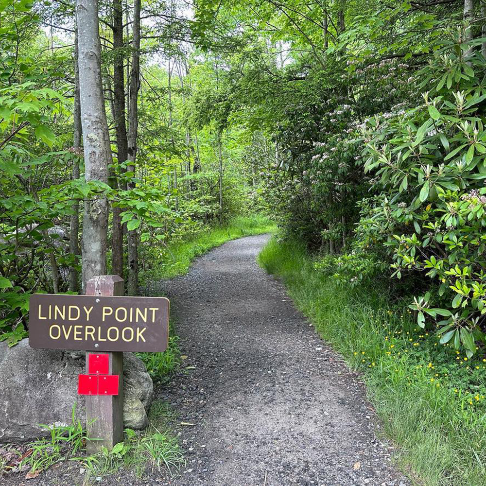 Lindy Point trailhead sign marking the start of the trail in Blackwater Falls State Park.