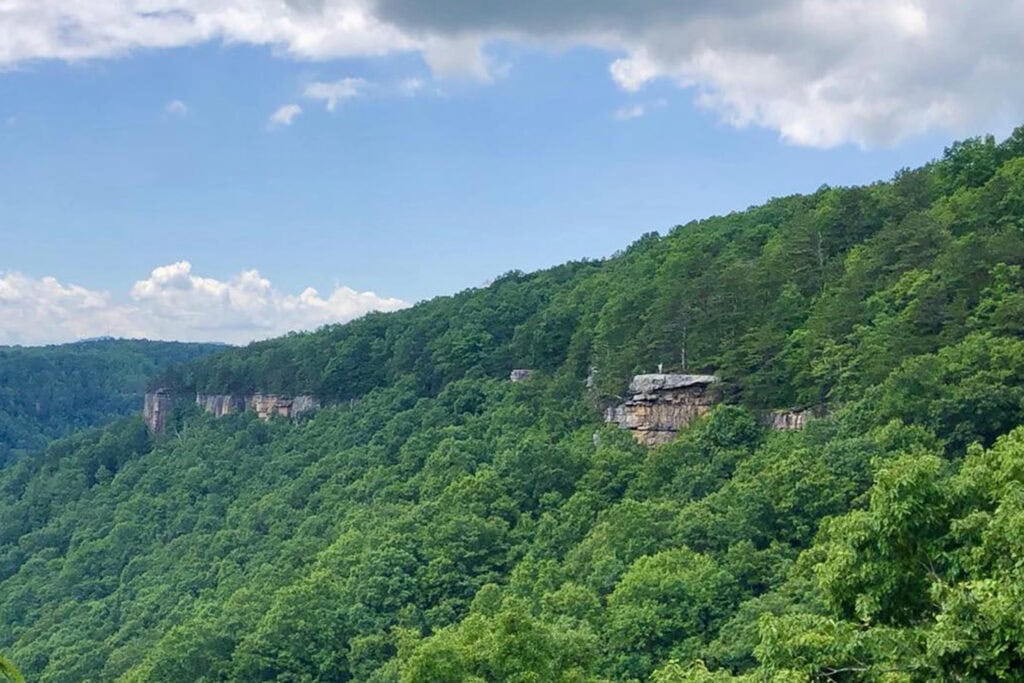 A section of the Endless Wall, towering sandstone cliffs surrounded by lush green trees in New River Gorge National Park.