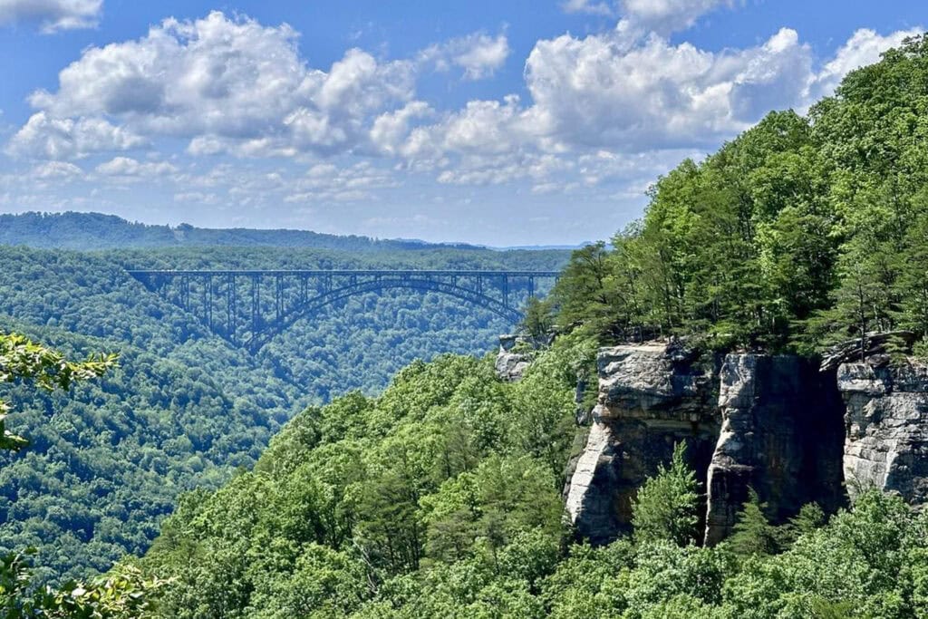 View from the Endless Wall Trail overlooking the New River Gorge, with the winding New River and the New River Gorge Bridge in the distance, framed by towering sandstone cliffs and lush forest.