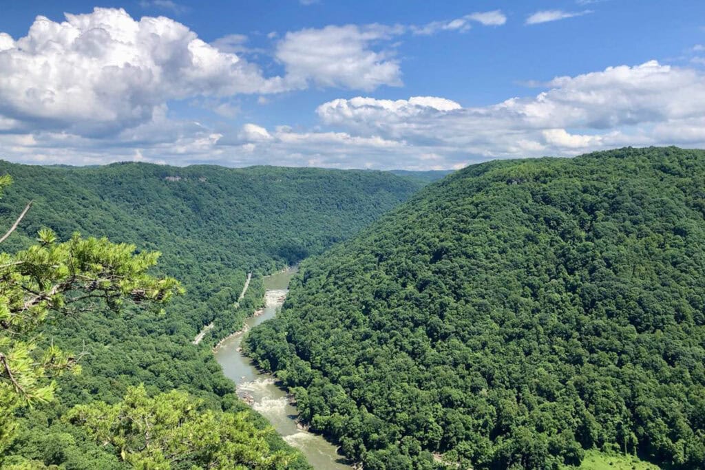 A stunning view of the New River winding through the lush green forest, captured from the Endless Wall Trail in New River Gorge National Park.