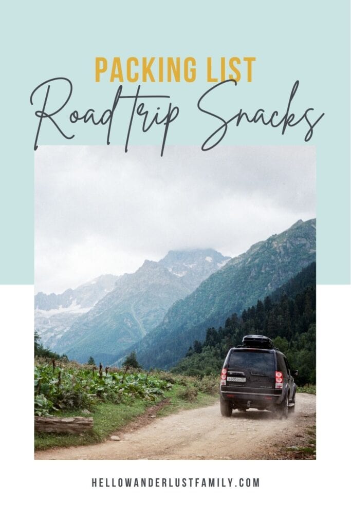 The Best Road Trip Snacks For Families (Healthy,Easy, & Mess-Free) packing list road trip snacks